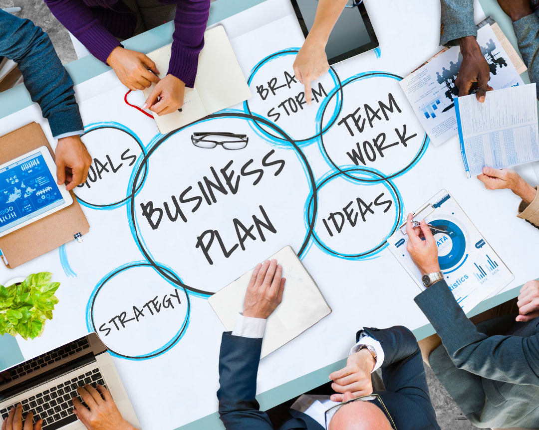 Business Plan Template For Immigration Consultant Free Download