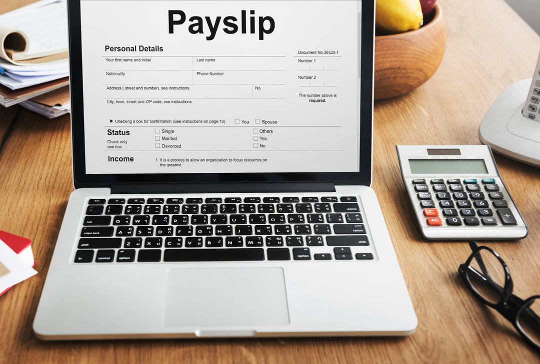 Consultant Payslip Template
