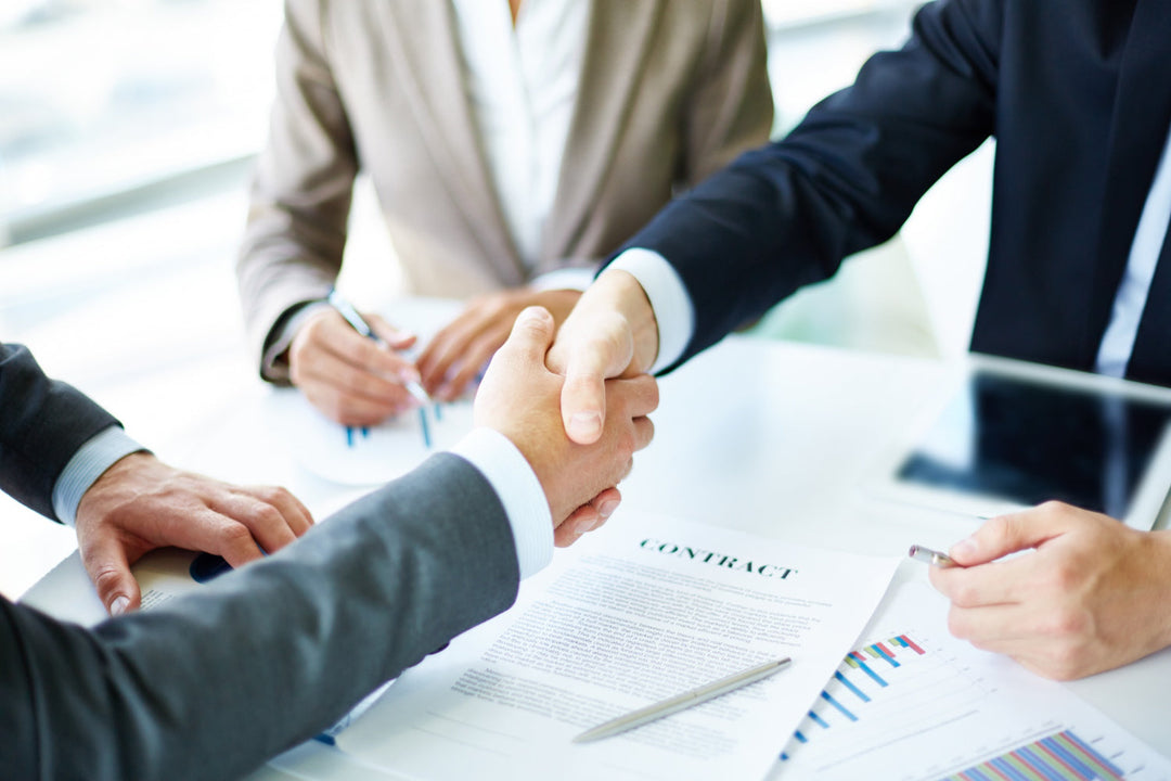 Consultant MOU Template Free Download