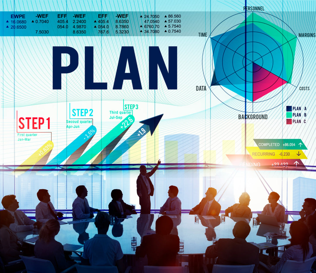 Consulting Action Plan Template