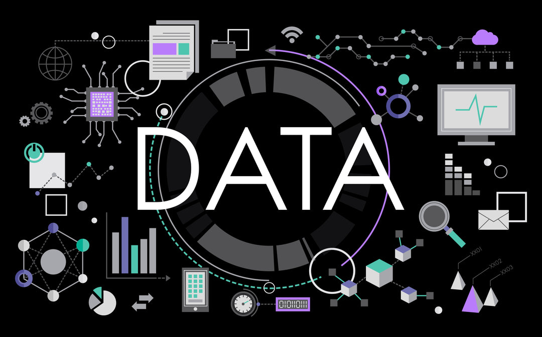Data Governance & Strategy Consultants