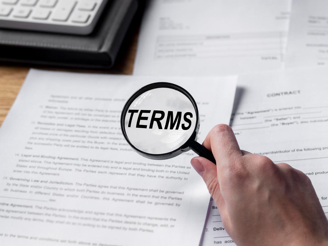 Consultant Terms of Reference Template