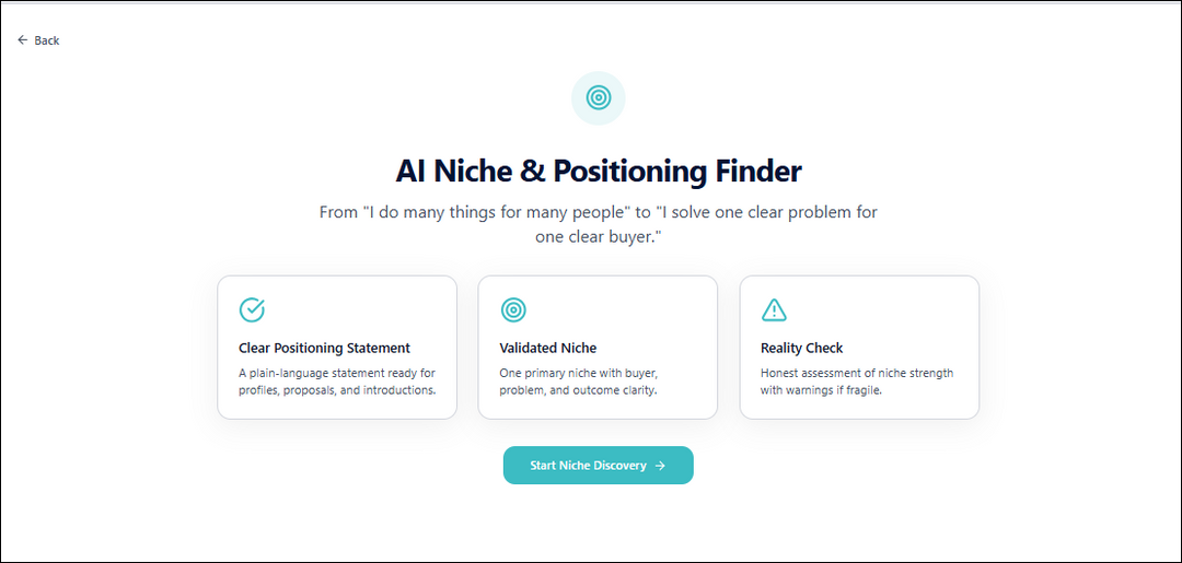AI Niche & Positioning Finder