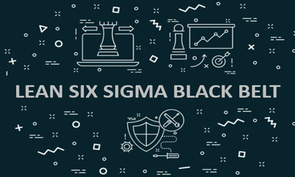 Lean Six Sigma Black Belt