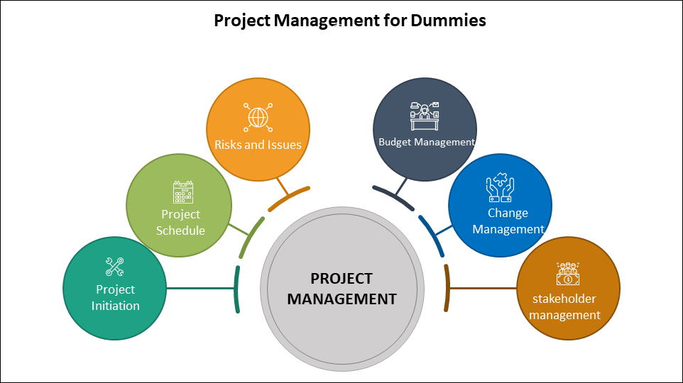 Project Management for Dummies