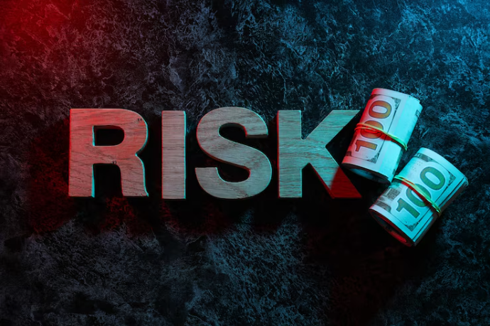 Risk Appetite Template