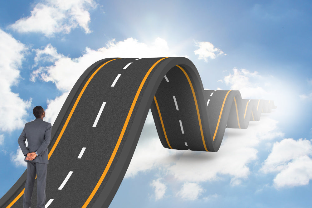 Project Roadmap: How to Fit Road mapping into Your Management Process ?