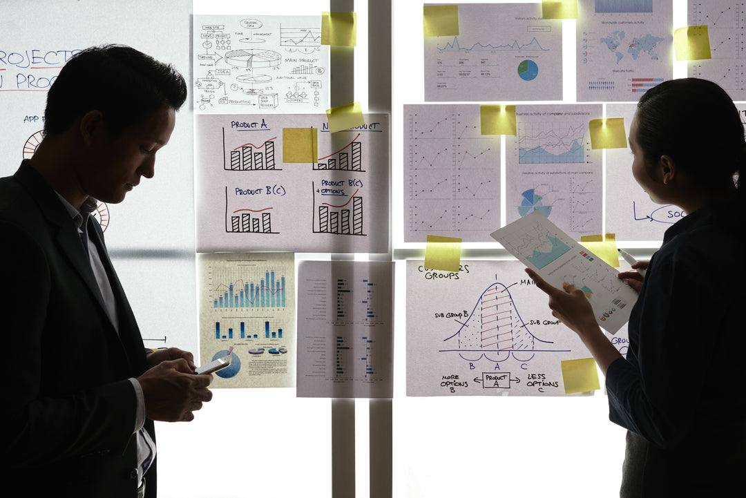 What is a Project Management Consultant? Core Skills and Deliverables