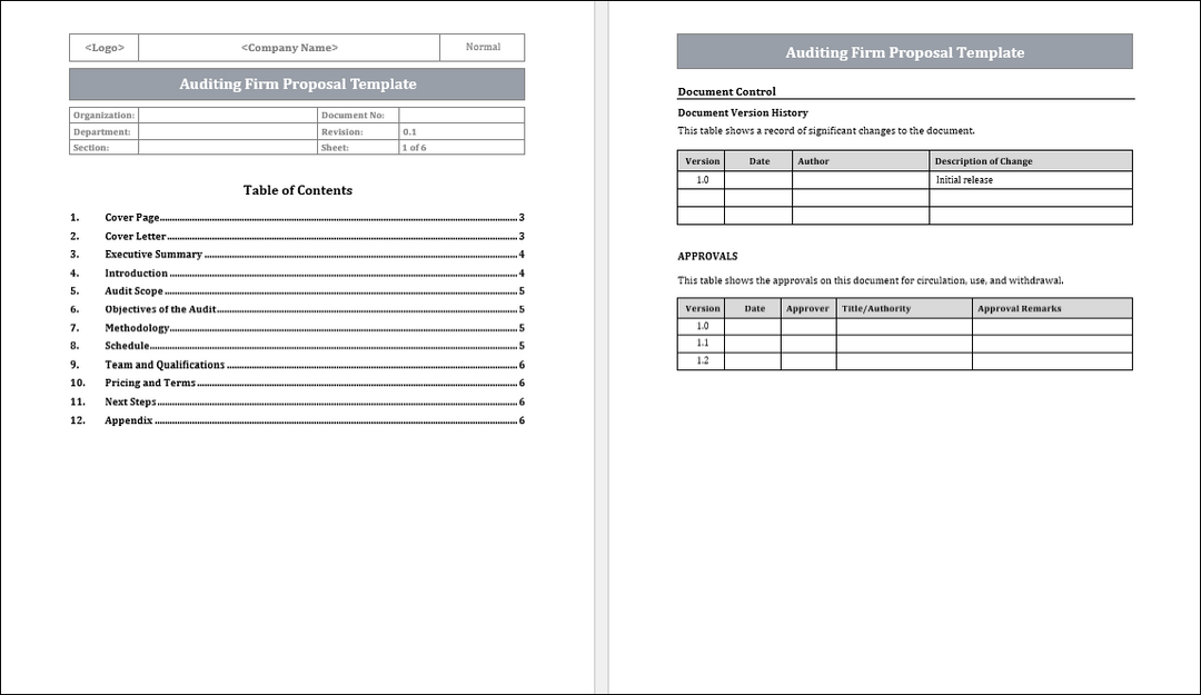 Auditing Firm Proposal Template Free Download