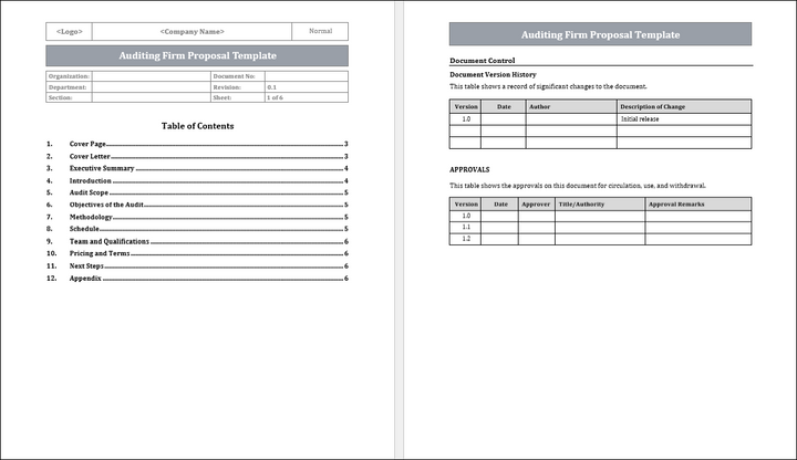 Auditing Firm Proposal Template Free Download