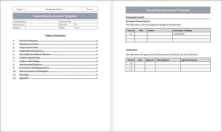 Consulting Assessment Template Free Download