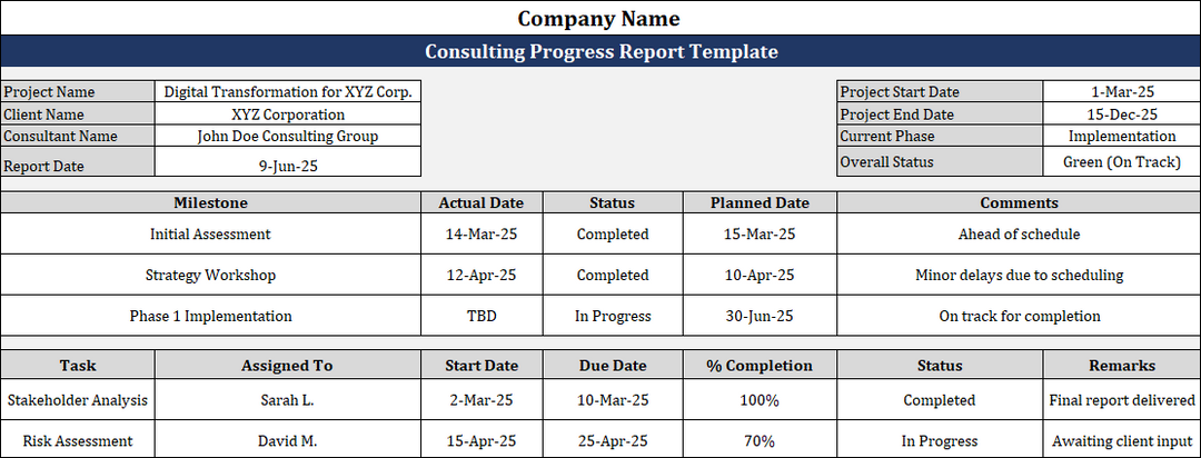 Consulting Progress Report Template Free Download