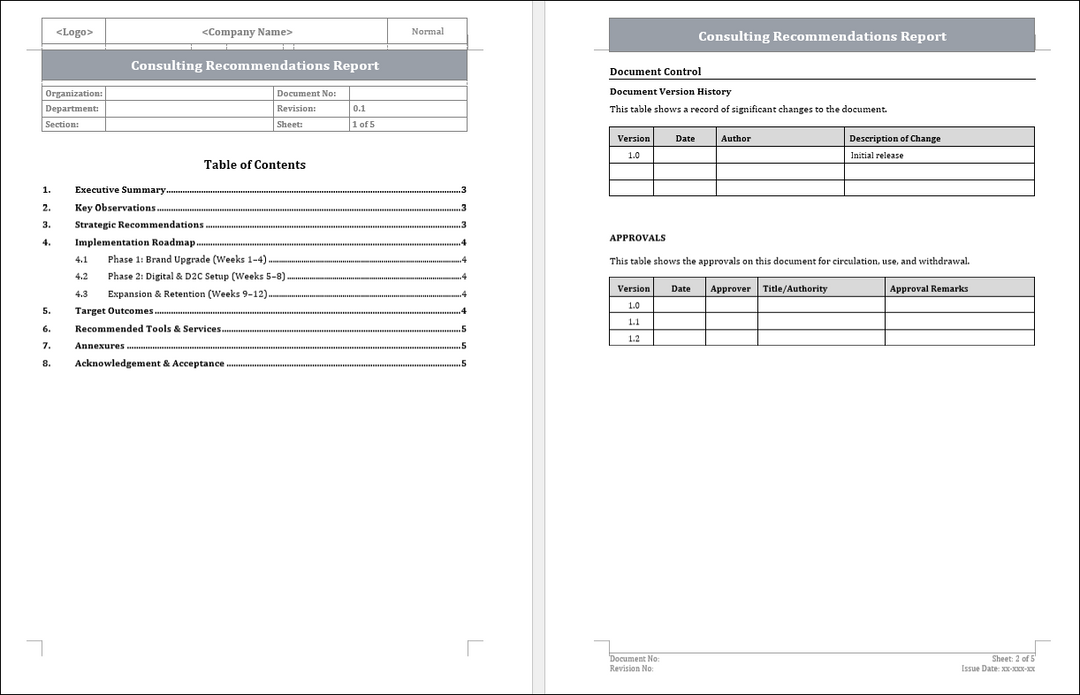 Consulting Recommendations Report
