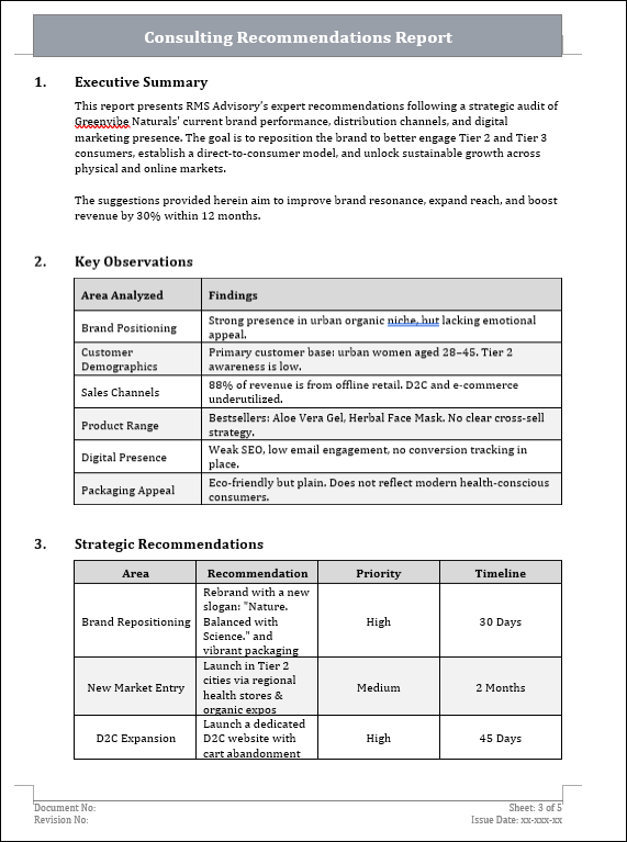 Consulting Recommendations Report
