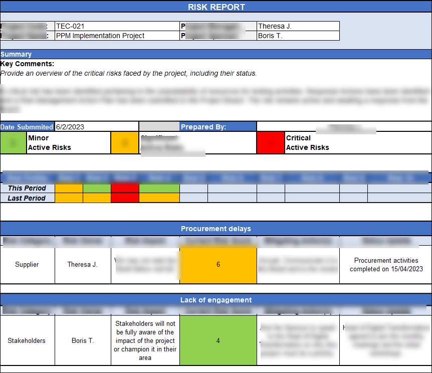 Risk Report Template