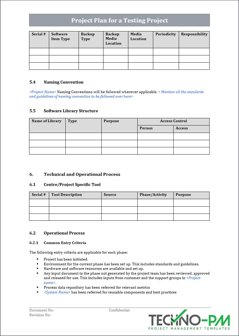 Project Plan for a Testing Project