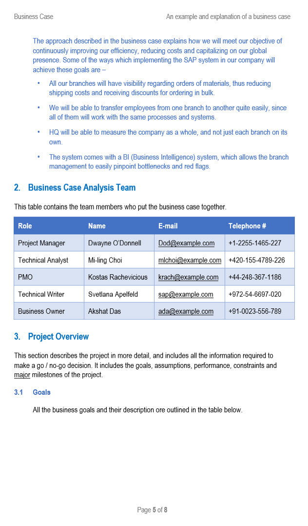 Business Case Word Template Analysis