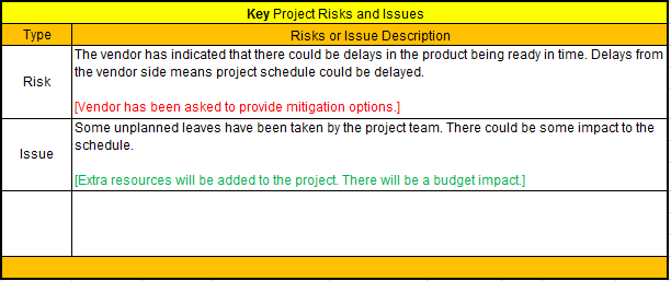 Project Status Risks and Issues