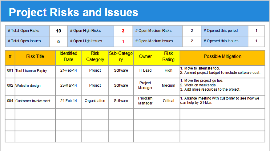 Project Risks and Issues