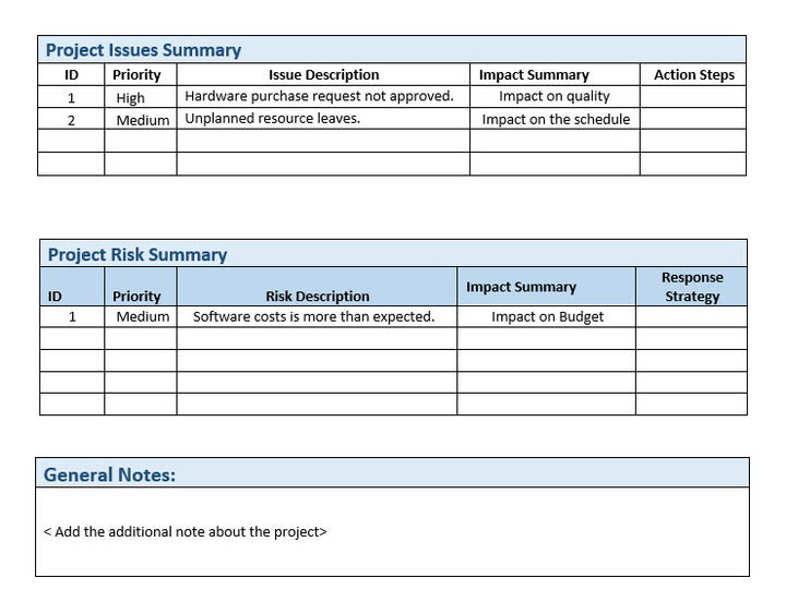 Project Status Report Issues Summary