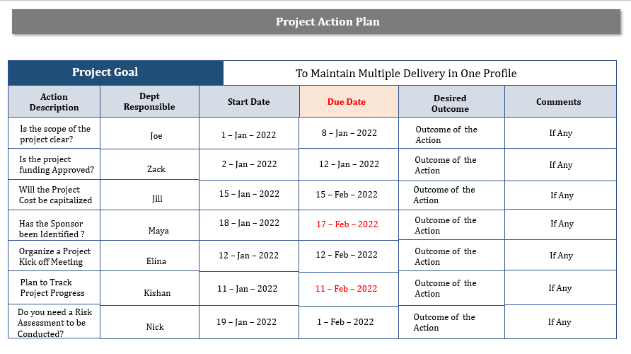 Project Action Plan