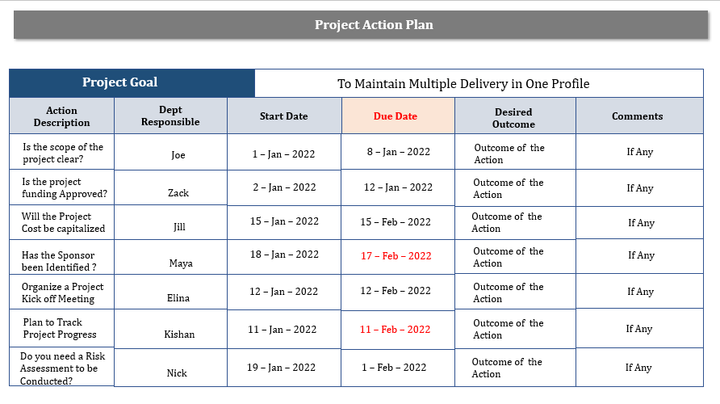 Project Action Plan