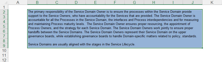 RACI Service Domain