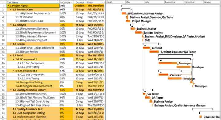 Project Timelines and Roadmaps