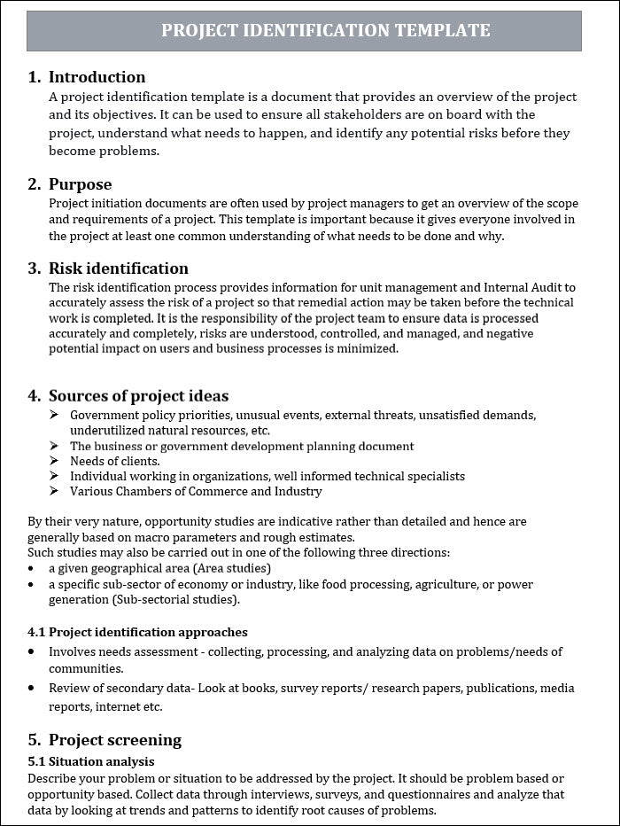 PROJECT IDENTIFICATION TEMPLATE