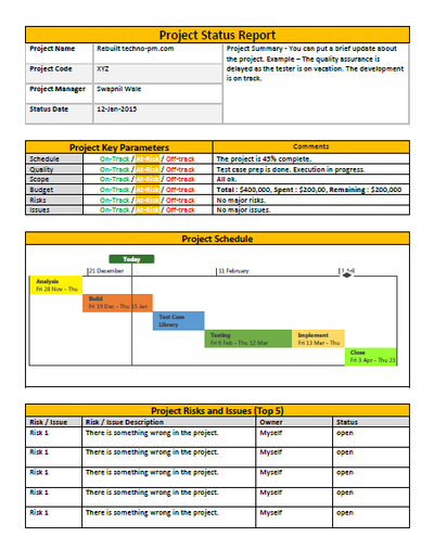 one page project status report