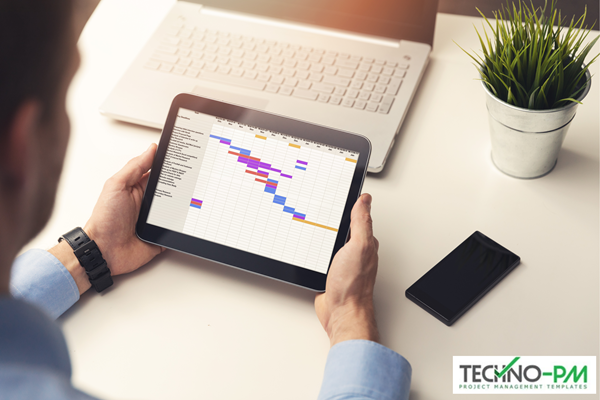 Project Timelines and Roadmaps