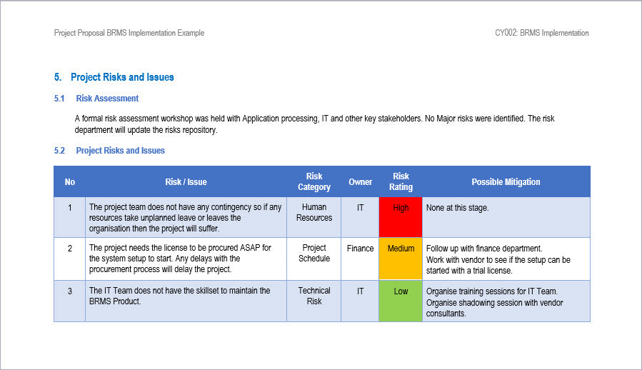 Project Proposal BRMS Risks and Issues