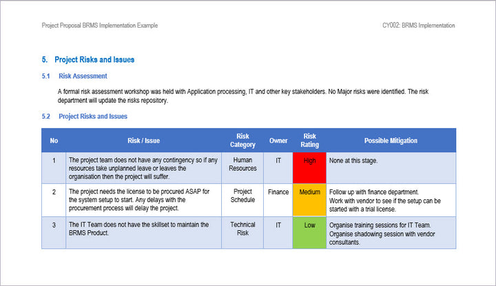 Project Proposal BRMS Risks and Issues